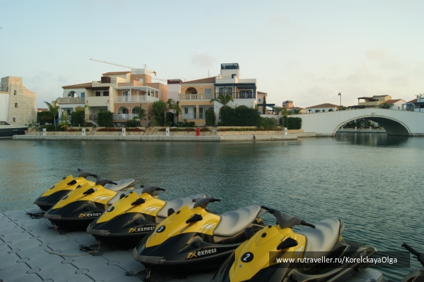 photo 1816974