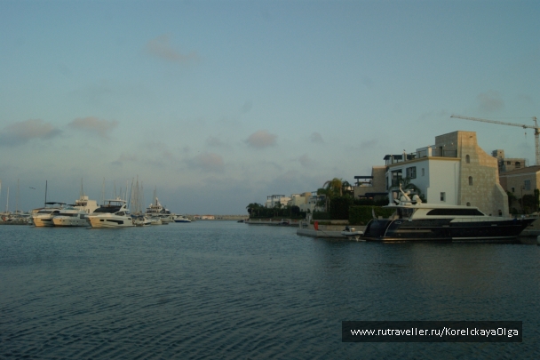 photo 1816977