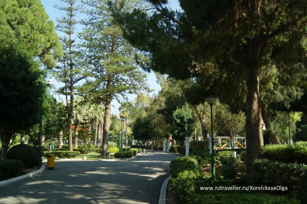 photo 1816987