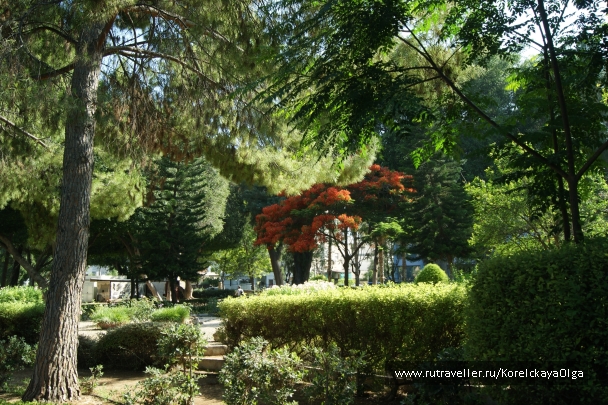 photo 1816988