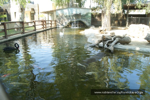 photo 1816993