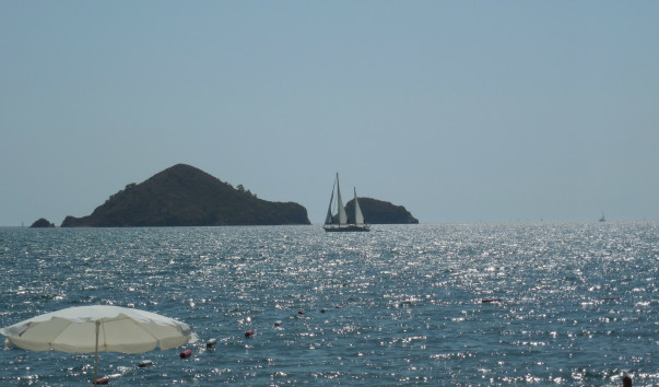 DSCN0010
