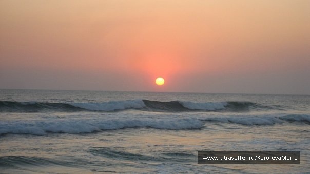 photo 137761