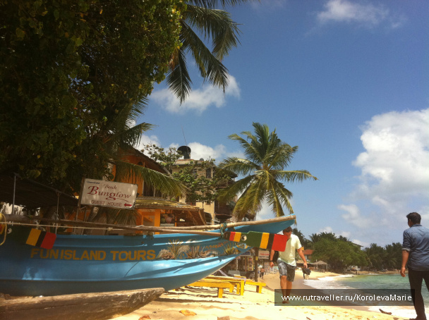 photo 137763