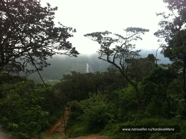 photo 137765