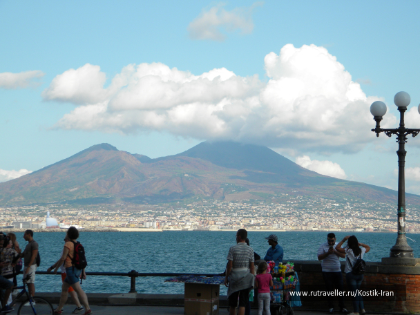 photo 1591884