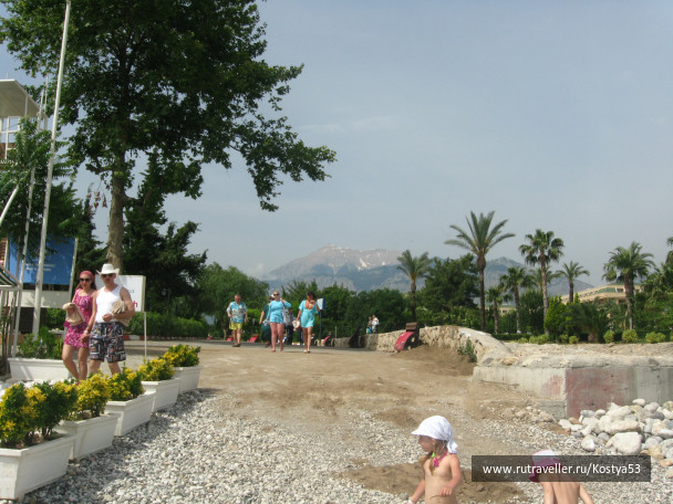 photo 229485