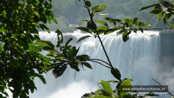 photo 471693