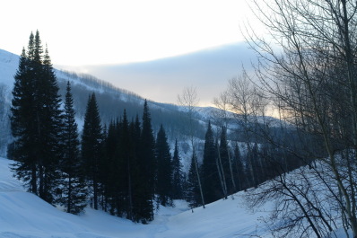 photo 243498