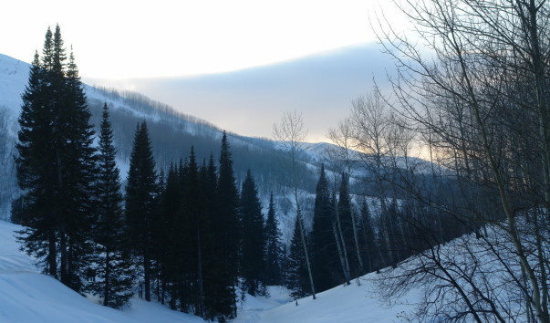 DSC01030