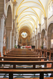 photo 258978