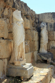 photo 267320