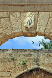 photo 267363