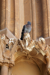 photo 267366
