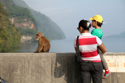 photo 276201