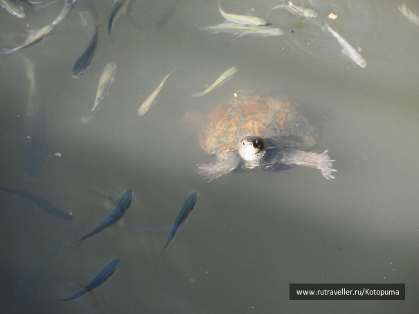 photo 407344