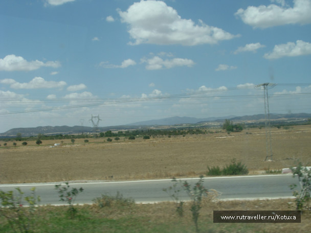 photo 485833