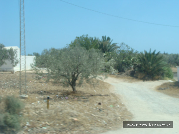 photo 485838