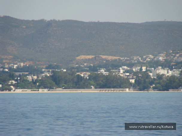 photo 485847