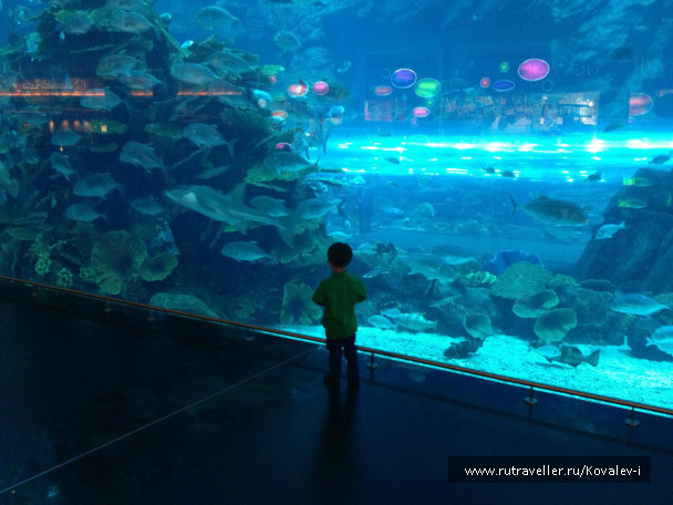 photo 653217