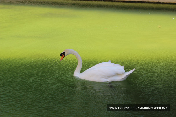 photo 461816