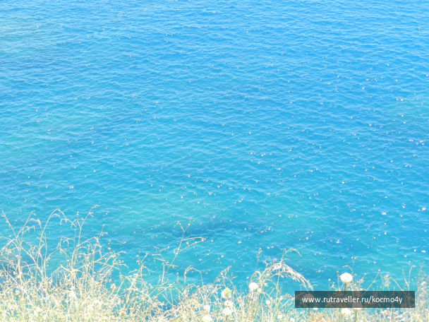 photo 446920
