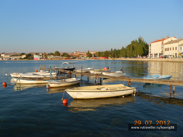 photo 154870