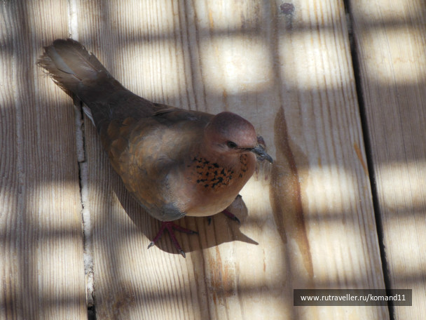 photo 351835
