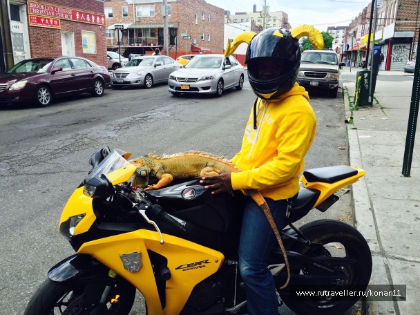 photo 1192941