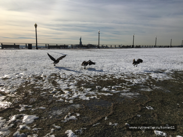 photo 1235075