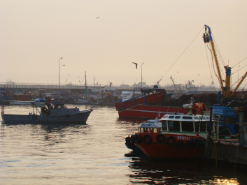 photo 67716