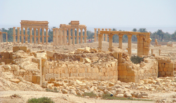 syria (43)