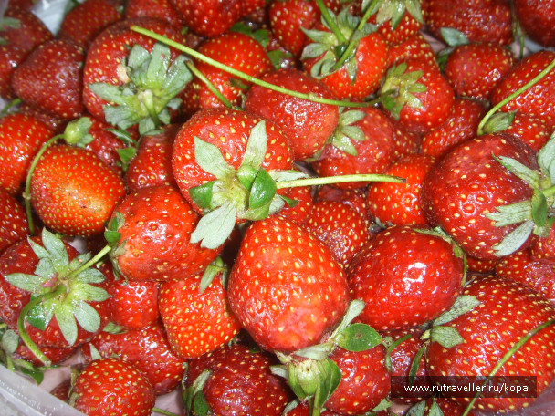 photo 702255
