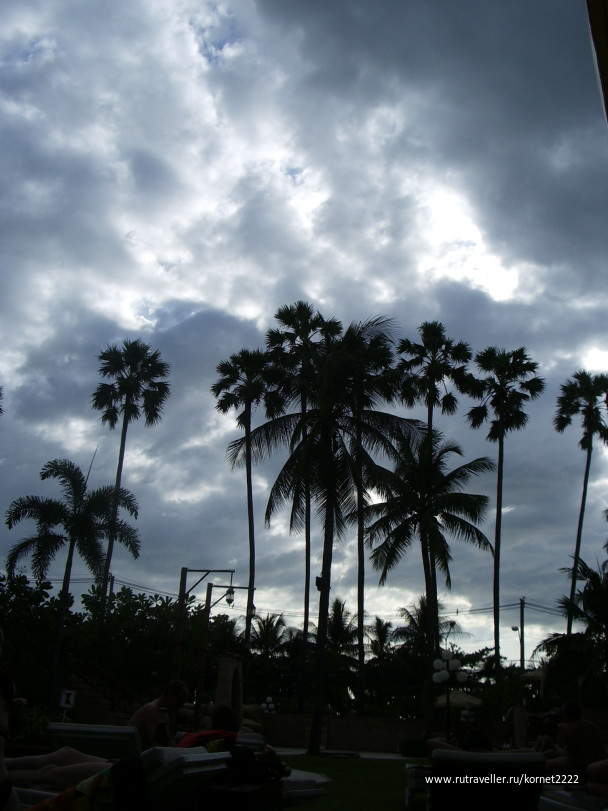 photo 329357