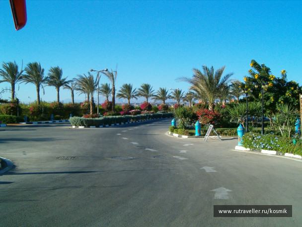 photo 88654