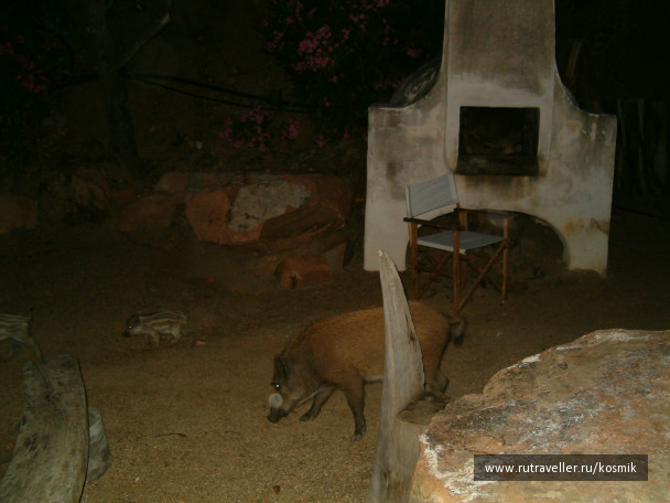 photo 139403