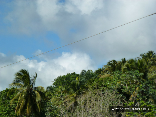 photo 88875