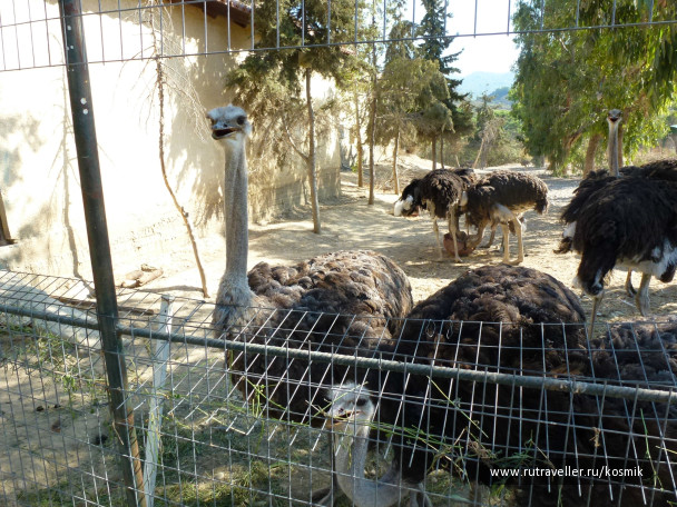 photo 346124