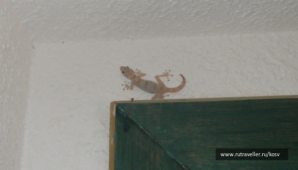 photo 464068