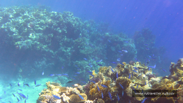 photo 464071