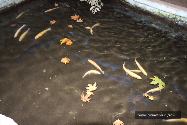 photo 593122