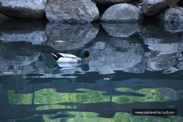photo 593123