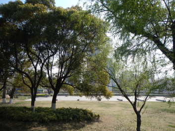 photo 1123341