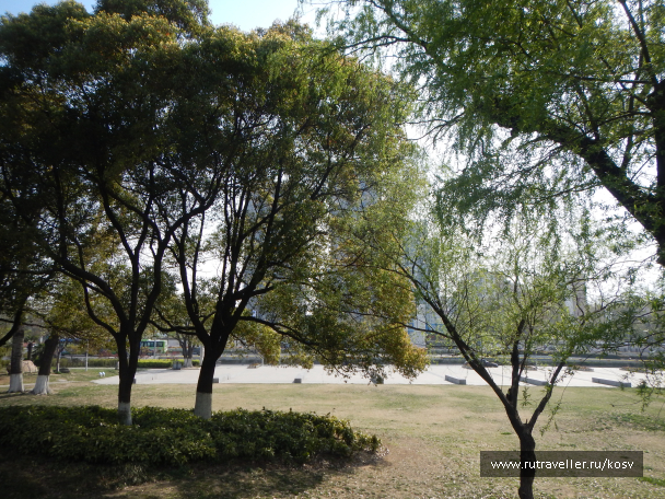 photo 1123341
