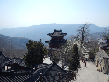 photo 1123364