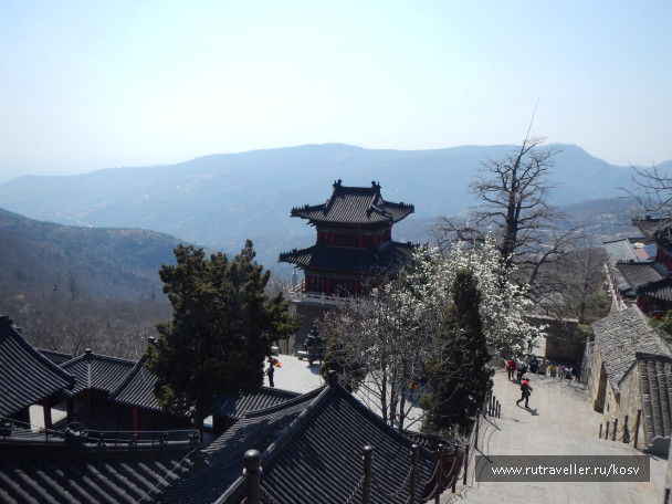 photo 1123364