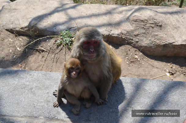photo 1123370