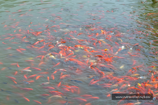 photo 1123373