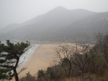 photo 1123406