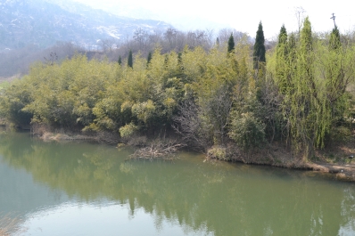 photo 742828